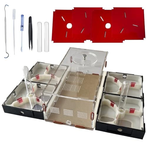 Ant Farm Nest Ant Habitat Science Learning Kit Ant Farm for Live Ants ...