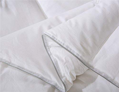 SHEONE All Seasons Lightweight White Goose Down Comforter-650 Fill Power-100% Cotton Shell Down Proof-Solid White Hypo-allergenic Duvet Insert With Tabs (Queen)