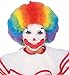 Kid's Clown Wig, Multi-color