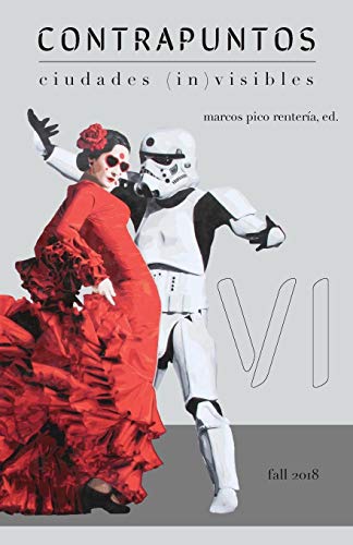 Contrapuntos VI: Ciudades (In)Visibles (Spanish Edition)