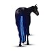 Horse Highlights All American Saddles LED Horse Tail Lights - USB Rechargeable - Best High Visibility Tack for Horseback Riding - Adjustable, Sturdy High Visibility Equestrian Safety Gear
