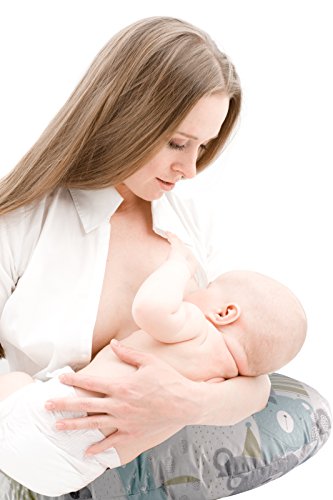 image for Asani Bamboo Nursing Pillow Cover w/ Waterproof Layer | Antibacterial 