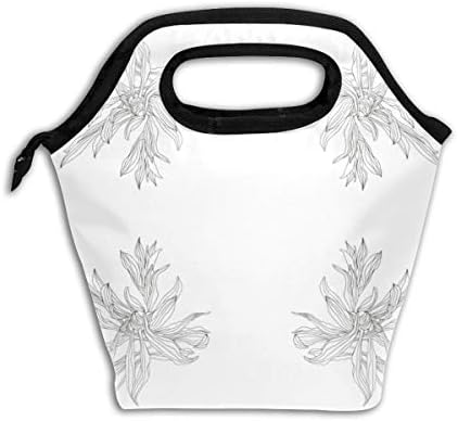 B W Plaintain Fabric (3074) Reusable Insulated Lunch Bag Cooler Tote Box with Zipper Closure for Woman Man Work Pinic Or Travel