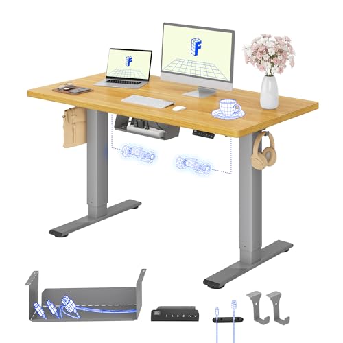 FLEXISPOT Höhenverstellbarer Schreibtisch elektrisch, Doppelmotor 120x60 cm