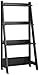 Bush Furniture Alamosa Ladder Bookshelf, Classic Black