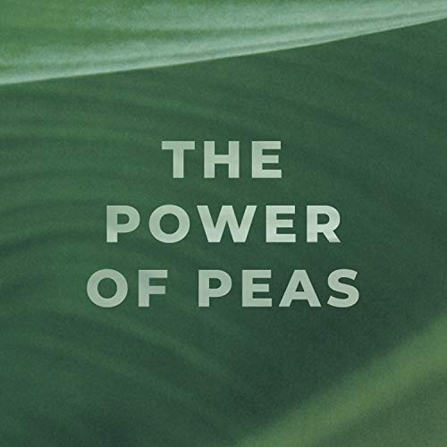 Evolve-Plant-Based-Protein-Bars-Variety-Pack-10g-Protein-183oz-12-Count