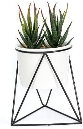 Taiyue White Round Ceramic Succulent Planter Cactus/Flower Pot with Black Triangle Metal Iron Holder