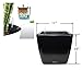 Window Garden Aquaphoric Self Watering Planter (11”) + Fiber Soil = Foolproof Indoor Home Garden. Modern Decorative Planter Pot for House Plants, Flowers, Herbs, Vegetables, Tropical. Easy