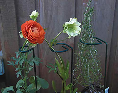 cozyou 3-Pack Garden Plant Stem Support Rings, 17.7" High