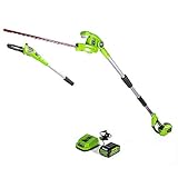 Greenworks 8 Inch 40V Cordless Pole Saw with Hedge Trimmer Attachment 2.0Ah Battery and Charger Included PSPH40B210