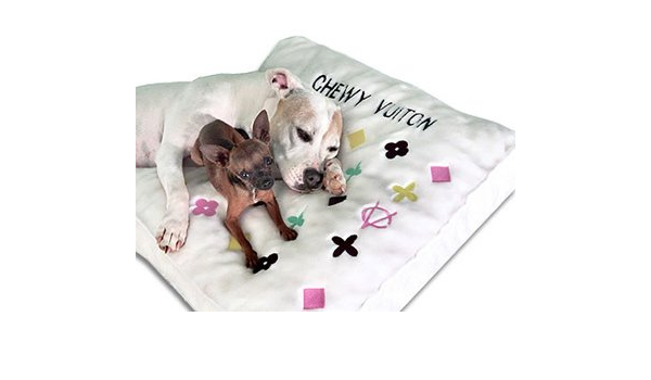 chewy dog beds