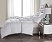 LUXURIOUS QUEEN Size White Goose Down Alternative Comforter Duvet Insert 750 Fill Power, 50 oz Fill Weight,Plush Siliconized Polyester Fiberfill,Hypoallergenic,Baffle Box design & LIFETIME WARRANTY!