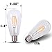 DC 12 Volt Warm White 2700k 6 Watt LED Filament ST64 Light Bulb E26 E27 Medium Base Lamp Low Voltage Marine Boat Solar Stage Film Photography Production Prop Retro Edison 12V Battery Lighting