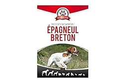 Tout Ce Qu'il Faut Savoir Sur L'épagneul Breton
