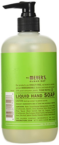 12.50 Oz Liquid Hand Soap in Apple