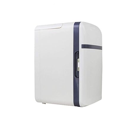 Amazon.es: LFDD Nevera portátil eléctrica para Coche, con ...