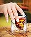 EASYTAR Skull Shot Glass, Thick Base, Double Wall, Clear Glass Crystal Skull Shotglass,crystal Skull Pirate Shot Glass Drink Cocktail Beer Cup(75ml)(2 pack)
