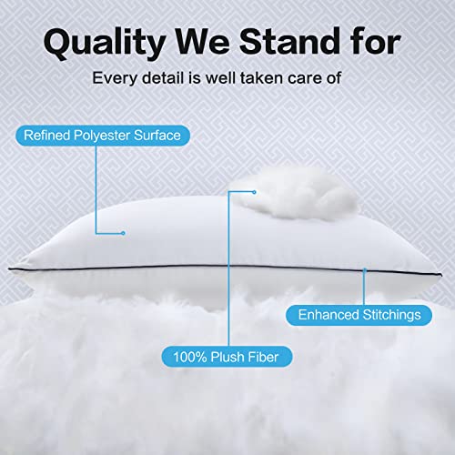 EASELAND Pillows King Size Set of 2, Plush Down Alternative Pillows