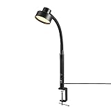 15" LED Integrated Clamp Desk Lamp, Matte