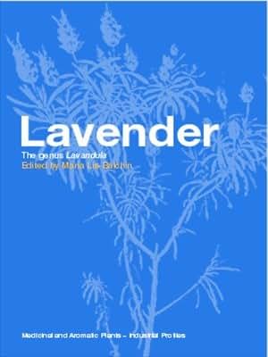 Lavender Medicinal And Aromatic Plants Industrial
