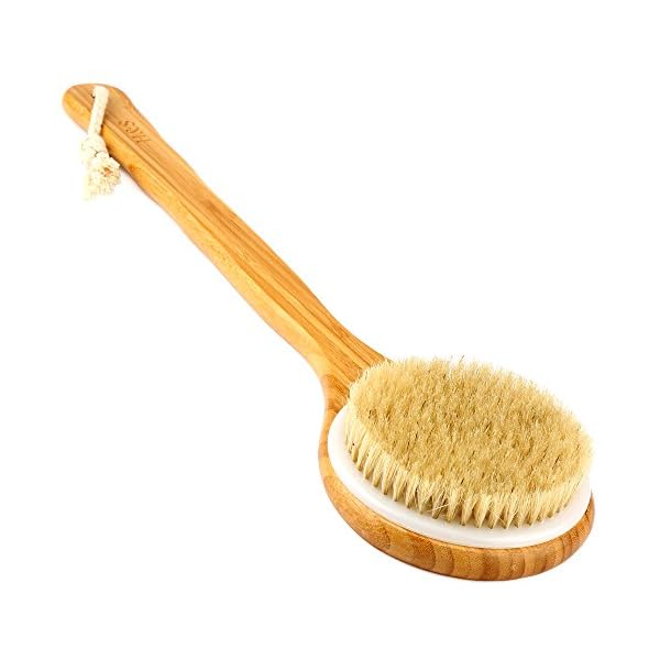 H&S Body Brush Back Scrubber Long Handle Bath Shower Brush Natural Bristles Dry Skin Exfoliating Cellulite Brush Bamboo…