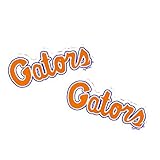 NCAA Florida Gators Car Magnet with Mascot, Small, 2 Pack