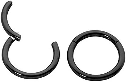 Hinged Segment Ring,Seamless,Endless Septum Ring,Tragus Piercing Jewelry,Helix,Cartilage,Scaffold,Upper Ear,Segment Ring,Lip Ring,Nipple Ring,Endless Hoop Earring