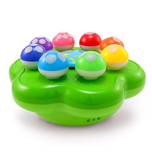 4 BEST+LEARNING+Mushroom+Garden+Educational