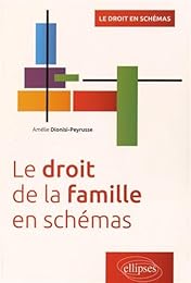 Le  droit de la famille en schémas
