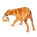 Dogloveit Mallard Duck Squeaky Dog Toys for Small Dogs Plush Dog Toys, 12-inch