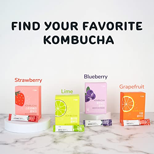 DALAMHARI KOMBUCHA TEA STRAWBERRY 15EA | 19KCAL SPARKLING SUGAR FREE HEALTHY SODA DRINKS