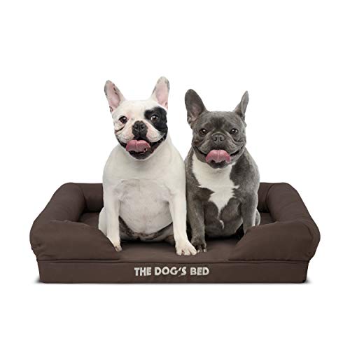 The Dog’s Bed Orthopaedic Dog Bed Small Brown & Brown Trim Premium Waterproof Memory Foam Dog