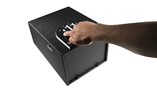 GunVault GVB2000 Multivault Biomtrc 10X8X14, Multi Vault