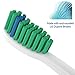 Oliver James Replacement Toothbrush Heads Compatible with Philips Sonicare Brush Heads for phillips sonicare toothbrushes, electric toothbrush replacement heads for phillips sonicare replacement heads
