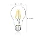 FluxSmart LED Filament Edison Light Bulb - Dimmable Warm White 8W - 60W Equivalent A19 E26/27 Base 2700K (8)