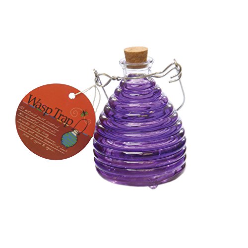 Toland Home Garden Small Purple/Grape Pesticide-Free 3.75-Inch Diameter Glass Wasp and Fruit Fly Trap 10206 Toland Home Garden Small Purple/Grape Pesticide-Free 3.75-Inch Diameter Glass Wasp and Fruit Fly Trap 10206