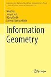 Information Geometry (Ergebnisse der Mathematik und ihrer Grenzgebiete. 3. Folge / A Series of Modern Surveys in Mathematics)