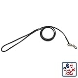 Cherrybrook Shoestring Leather Snap Lead 1/8-inch x 3-feet Black, My Pet Supplies