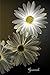 Journal: Daisy Flower Personal Journal, 100-pages, College-ruled, Blank, 6