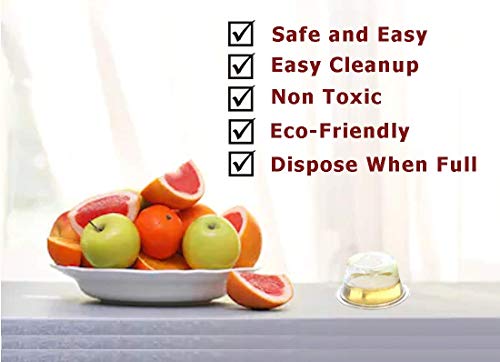 Outward Creations 6 Pack Fruit Fly Trap | Safe, Non-Toxic with No Insecticides or Odor, Eco Friendly - //medicalbooks.filipinodoctors.org