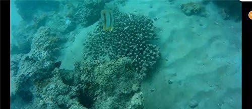 thorrobotics underwater drone