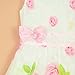 Little Hand Toddler Girls Rose Floral School Dress Bow Tie Bridesmaid Birthday Baby Party Dresses 4T