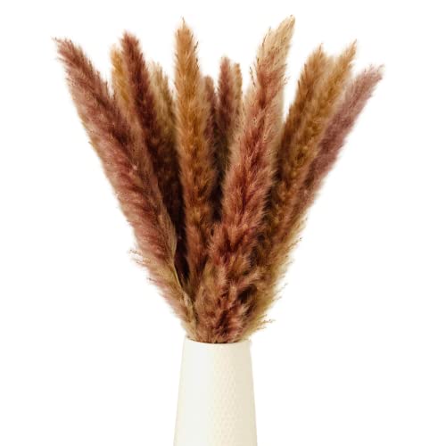 Dried Pampas Grass Small Artificial 30 Stems Brown 45cm Flowers Decorative Pampas Grass Decor Flora Bouquet Boho Décor Swingers Grass Vase Living Room Kitchen Bedroom Table Plant Wedding Decoration