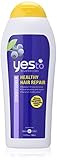 Yes To Blueberries Healthy Hair Repair Conditioner, 11.5 Fluid Ounce