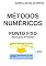 Livro Métodos Numéricos: Ponto Fixo (Matlab e Pyton)