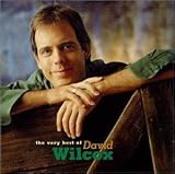 The Very Best Of David Wilcox