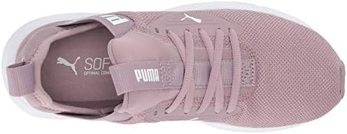puma enzo beta elderberry