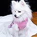 Dog Sweater Plaid Winter Clothes for Dogs Puppy Boys Girls
