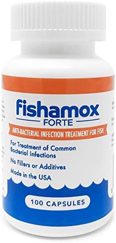 Fishamox Forte - 500MG (100 Capsules)