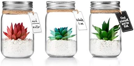 Opps Mini Artificial Colorful Succulent Plants with Special Rope Design Clear Glass Jar – Set of 3